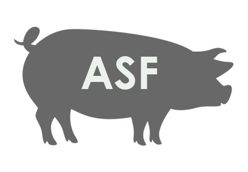 Informacja dla rolników utrzymujących świnie 